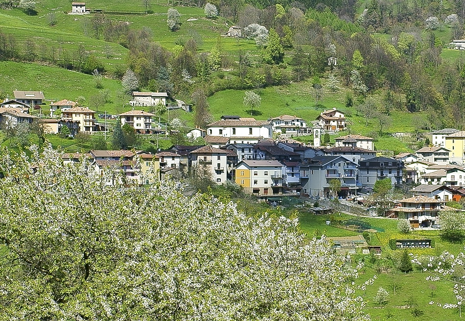 Valle Brembana • Colori E Fioriture Dalla Bella Val Brembilla ...