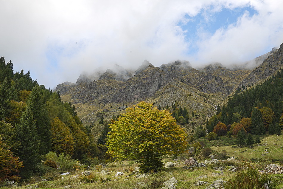 L'autunno In Val D'Inferno (Ornica) - Pagina 2 - Valle Brembana