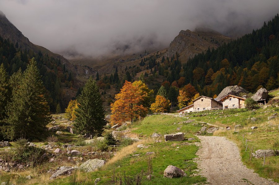 L'autunno In Val D'Inferno (Ornica) - Pagina 5 - Valle Brembana