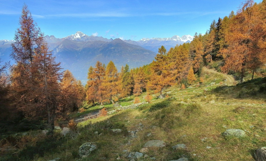 Orobie Lato B, Valle Del Livrio: Da Carona A S.Salvatore - Pagina 4 ...